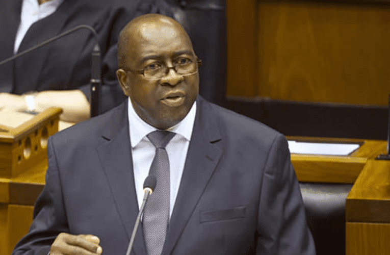 OwayewuNgqongqoshe wezeZimali eNingizimu Afrika, uMnu uNhlanhla Nene, uthi buningi ubuthaka obuvezwe wukuqubuka kweCOVID-19 nokuzomele kulungiswe ukuze kufukulwe umnotho. Uxoxe noSLINDILE KHANYILE