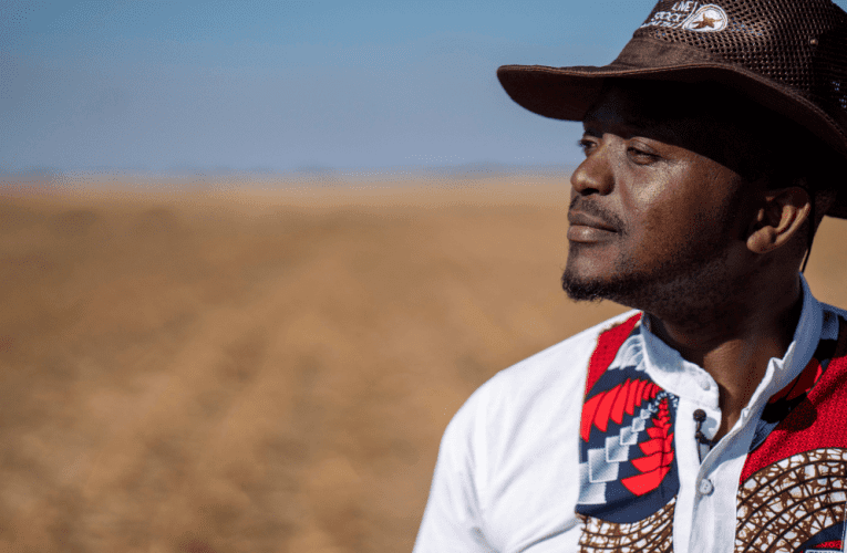 Luphothuliwe uphenyo ngeLivestock Wealth