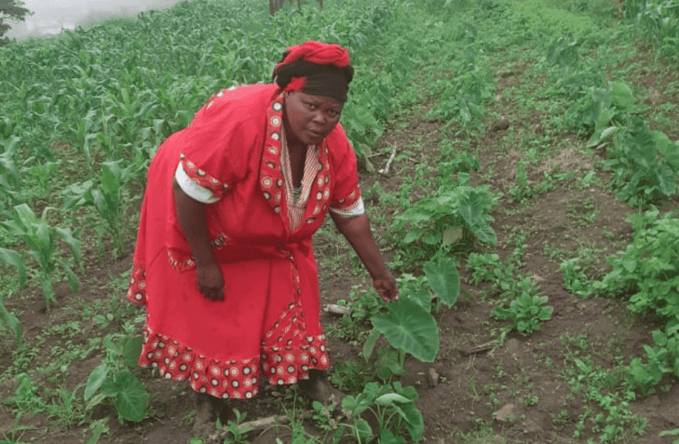 Wasukunyiswa wukubona ukuthi ayizifezi zonke izidingo zekhaya imali eholwa wumyeni wakhe osewumlimi ophakela izitolo imifino. UZANELE MTHETHWA uxoxe naye