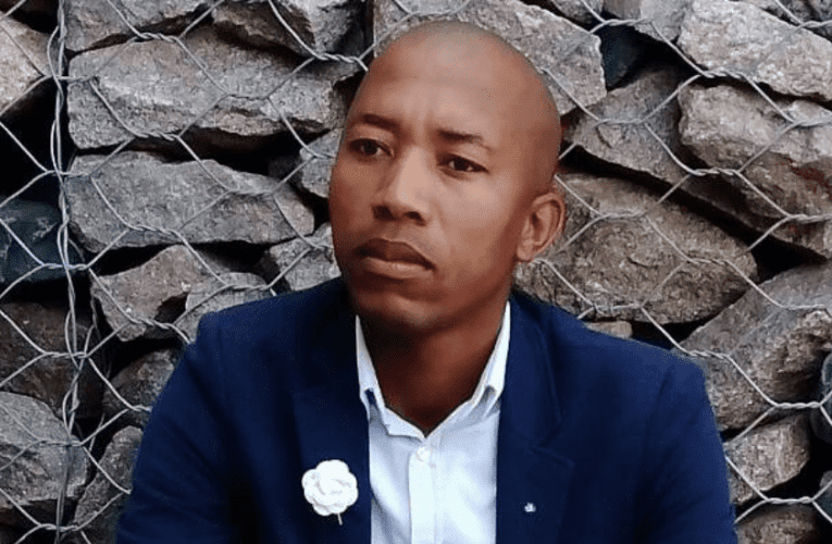 Usevulele abalimi abasafufusa ithuba oqhamuka nokwehlukile ngokukhiqiza i-yoghurt ethakwe ngobhatata. UZIMBILI VILAKAZI uyabika