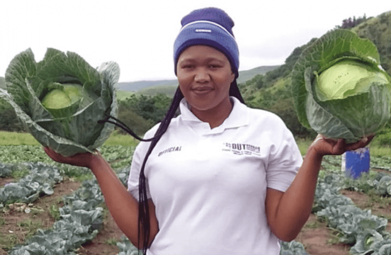 Waqaphela ukuthi inkulu indaba emhlabathini ngenkathi ebambe itoho epulazini osenepulazi elithi yena. Uxoxe noZANELE MTHETHWA