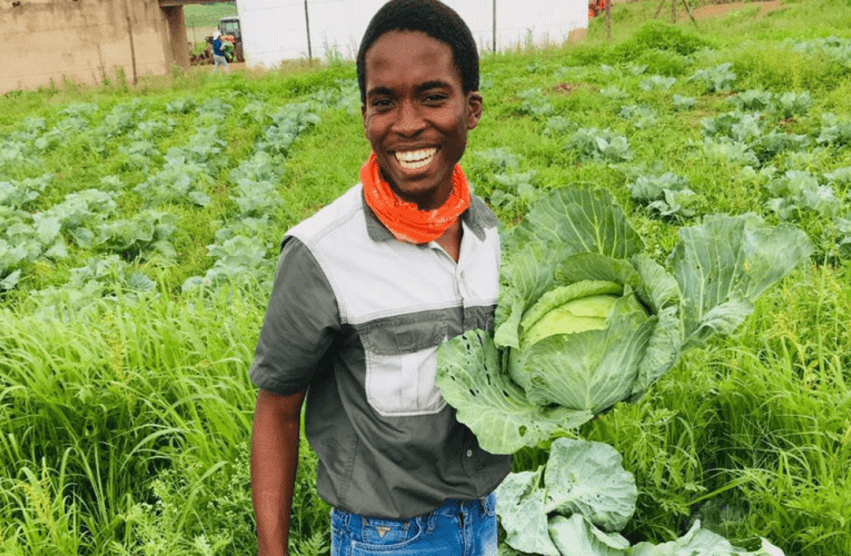 Isizungu esadalwa wukungawutholi umsebenzi awafundele kwenze insizwa yahlala phezu komkhono. Manje akasagcini ngokulima ngendlela engavamile kodwa useqeqesha intsha. UZANELE MTHETHWA uxoxe naye