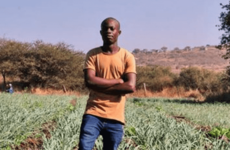 Ibhungu liyafuya, liyalima kodwa selimandla ekulimeni okungandile kubalimi abamnyama. Lixoxe noLUCAS LEDWABA