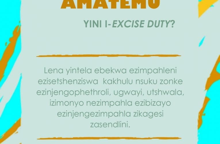 YINI I-EXCISE DUTY