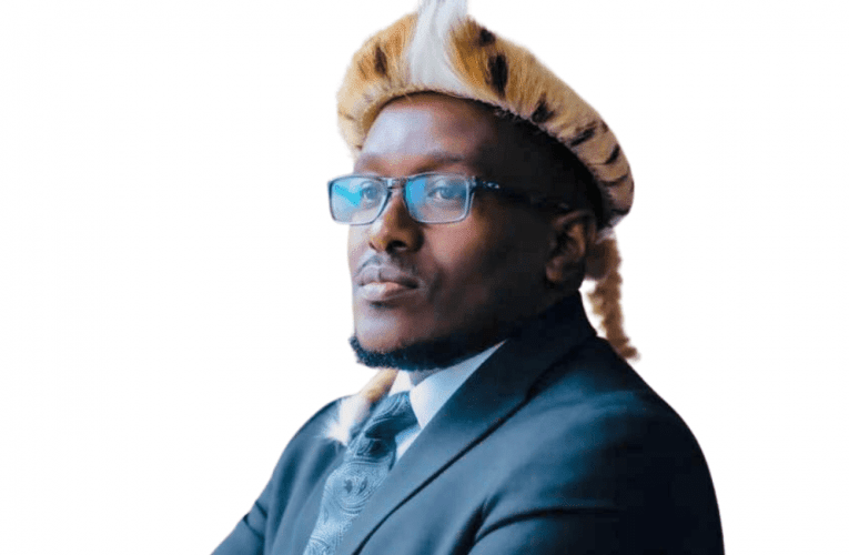 UMnu uMpumelelo Zikalala uchaza nge-criminal record nokuthi umuntu onegama elibi angalicisha kanjani