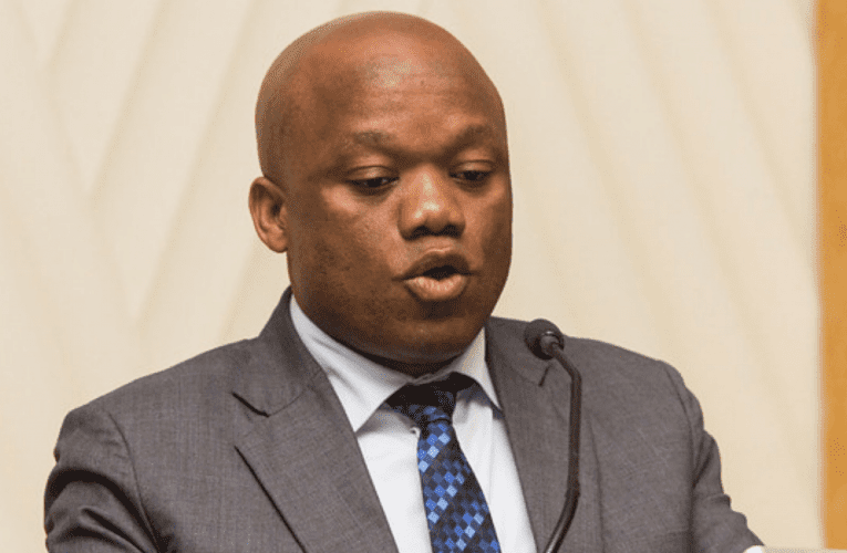 Sinethemba elikhulu ngemiphumela yengqungquthela egqugquzela ukuhwebelana e-Afrika, kuloba uSihle Zikalala