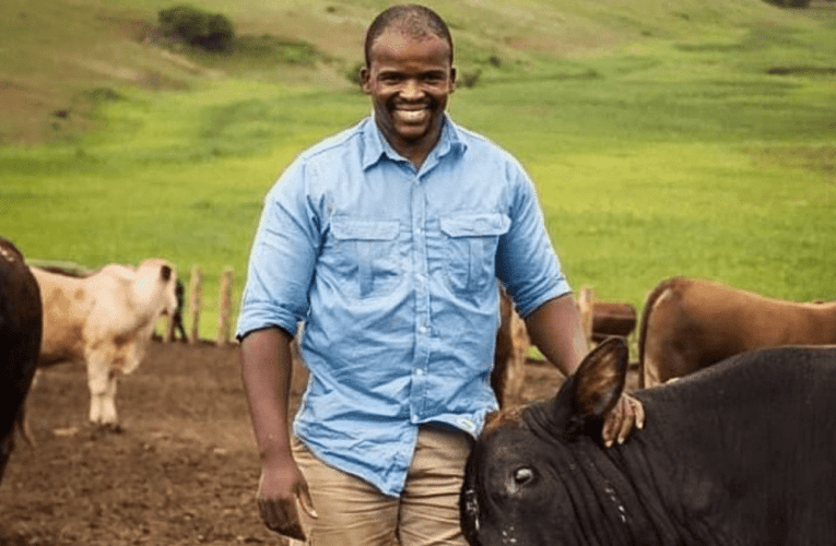 Usebenzisa ulwazi namava emboni yezolimo ukufukula abalimi abamnyama abasafufusa. Uxoxe noSIMANGALISO NTSHANGASE