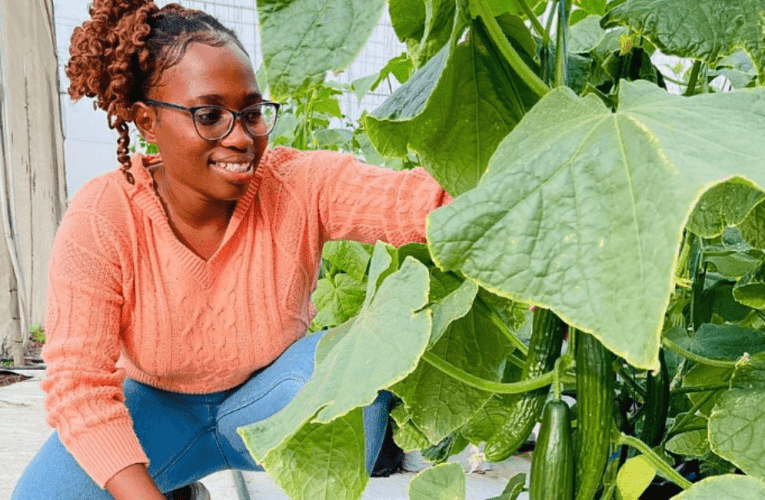 Ukungawutholi umsebenzi awufundele kube yisibusiso. Ungene kwezolimo kanti useziphilisa ngokukhiqiza amaveji. Uxoxe noSIMANGALISO NTSHANGASE