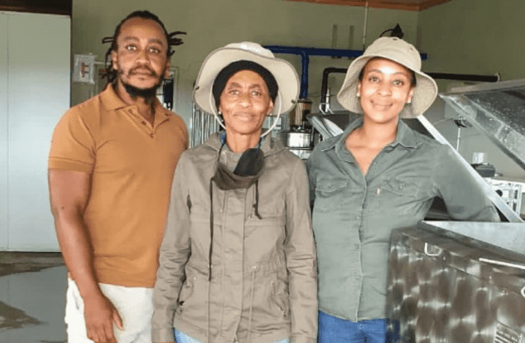 Zigila izimanga izelamani ezangena kwezolimo zizolekelela unina. Manje sezidayisela isikhondlakhondla sesitolo ubisi. Esinye sazo sixoxe noSIMANGALISO NTSHANGASE