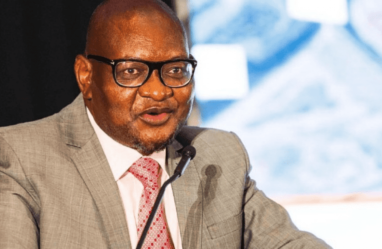 Imizamo yokufukula amabhizinisi asafufusa eGauteng. UTEBOGO MOKWENA uyabika