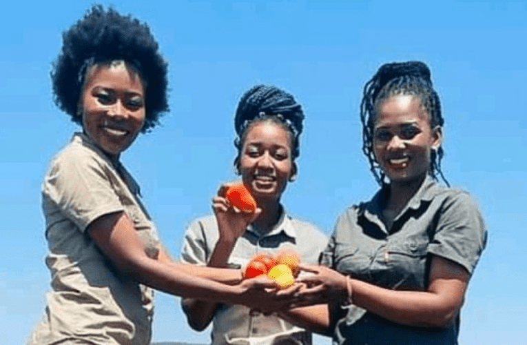 Ezolimo zibe wumpheme wokuphephela kwabebengawutholi umsebenzi. Omunye wabo uxoxe noSIMANGALISO NTSHANGASE