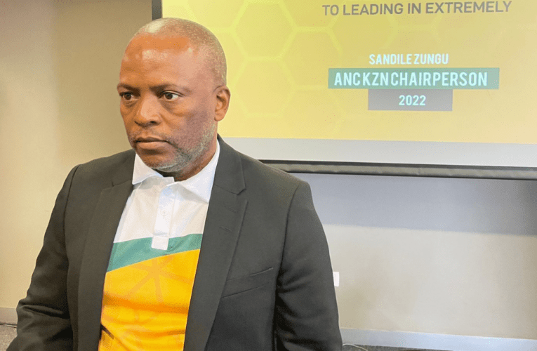 Owaziwa ngamava kwezamabhizinisi uthembisa uku‘takula’ uKhongolose KwaZulu-Natali. USLINDILE KHANYILE uyabika