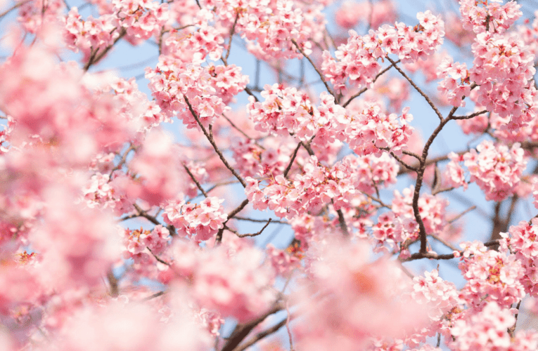 Lungisa isimo sakho semali ngokubuyekeza imishwalense yakho. INTATHELI YOMBELE iyabika