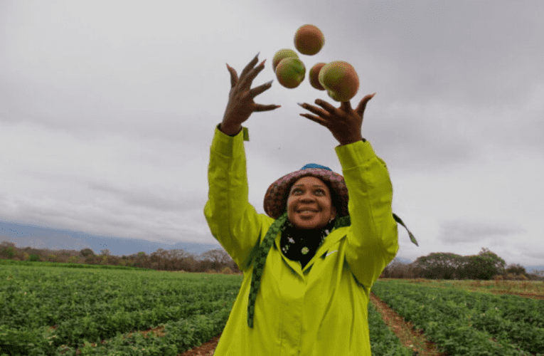 Impumelelo yomlimi wesifazane ifakazela ukuthi ukuba wumlimi akusiyo into yamaBhunu adlubha okhakhi wodwa. Uxoxe noLUCAS LEDWABA
