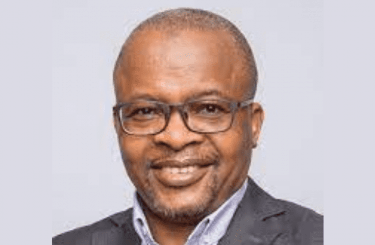 Imali yokusiza omabhizinisi abancane ‘iphelela ezinkampanini eziyizipoki’. U-ANNA MAJAVU uyabika