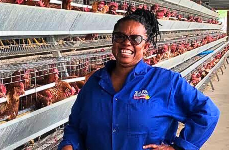 Owaqala ukufuyela umndeni wakhe izinkukhu usedayisa amaqanda ubuthaphuthaphu. Uxoxe neNTATHELI YOMBELE