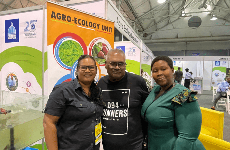 Bathuthukisa abafisa ukungena kwezolimo ngolwazi nangezinsizakusebenza. UNQOBILE NDLOVU uyabika