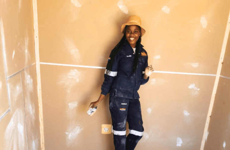 Isithukuthezi sokuvalwa kwezwe samnika umqondo webhizinisi lokwakha izindlu. Uxoxe noLUNGI LANGA