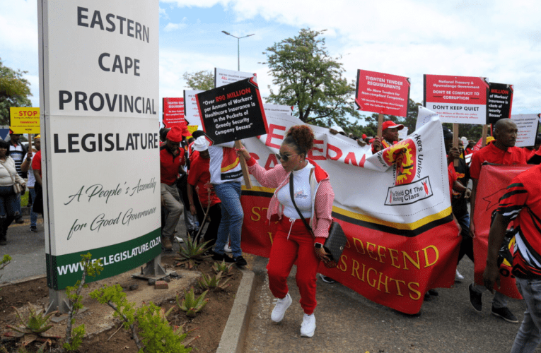 Izinyunyana zifuna uhulumeni waseMpumalanga Kapa uqede amathenda ezinkampani zonogada. U-LUCAS LEDWABA noKATLEGO SEKWATI bayabika