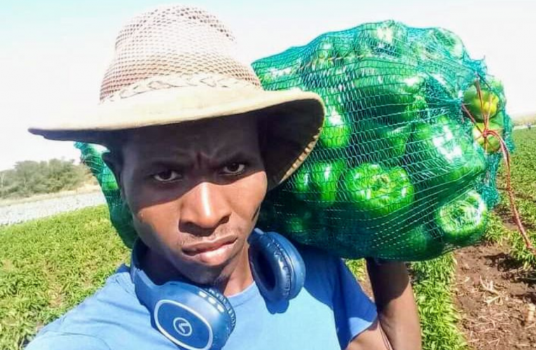 Umlimi wamaveji ufisa ukushiyela izizukulwane ifa elingunaphakade. Uxoxe noSIMANGALISO NTSHANGASE