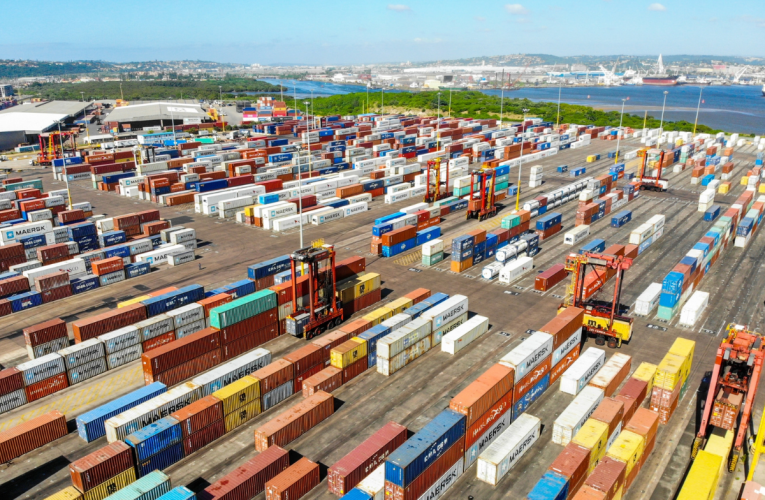 I-Transnet Port Terminals izothola imishini emisha emachwebeni