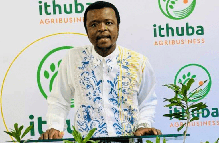 Ukholwa wukuthi inkunzi isematholeni otshala uthando lwezolimo ezikoleni