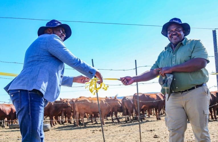 Bayachuma abaxhaswa yiThala ngezigidi