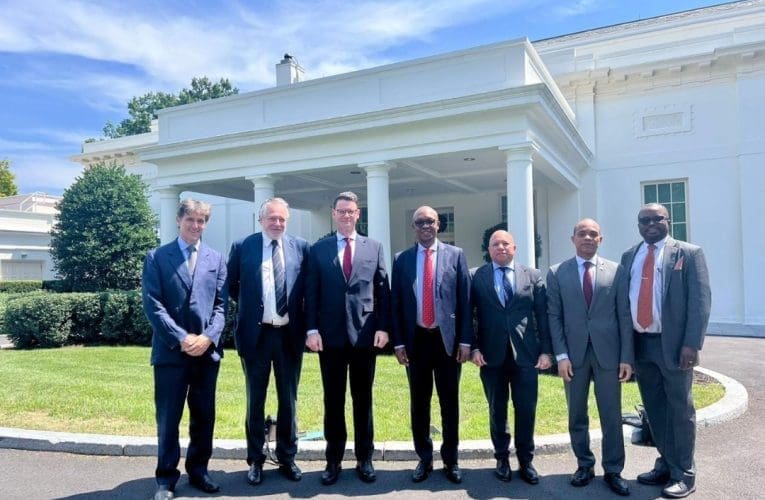 Amathuba okulungisa izinkinga zokukhula komnotho wezwe alele kuhulumeni wobumbano, kuloba uBusi Mavuso