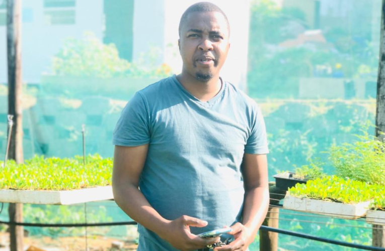 Bafafaza amakhono ezolimo entsheni yendawo