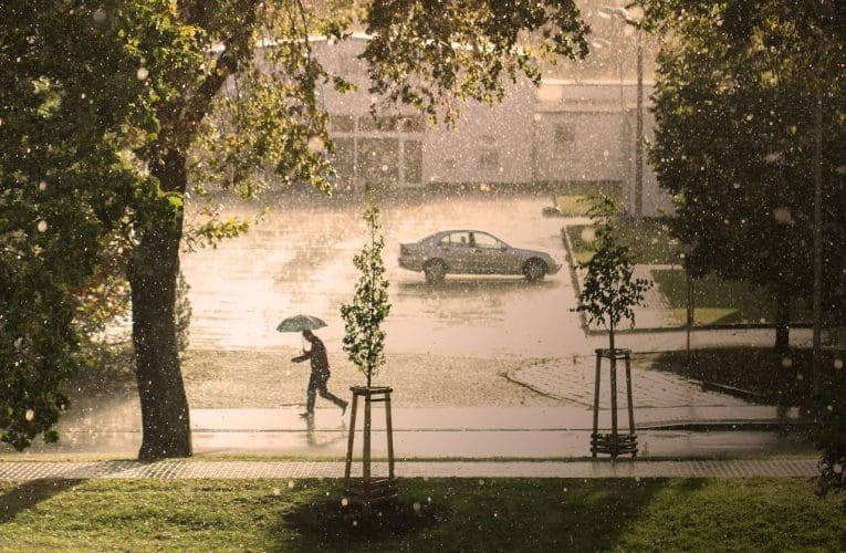 UNks uGcobisa Magazi, umqondisi emNyangweni weziMali, usikhanyisela ngezindlela ezingasiza ukulwa nokuguquguquka kwesimo sezulu