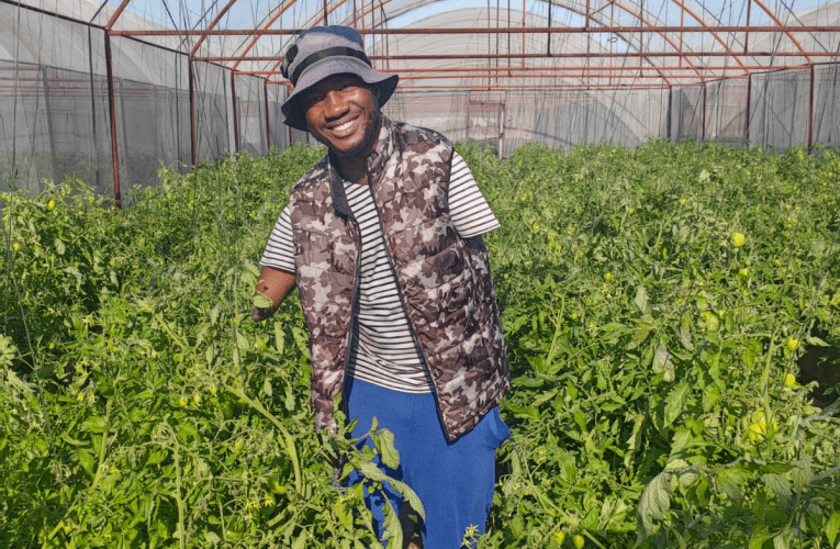 Umlimi onokukhubazeka uncelisa amawele