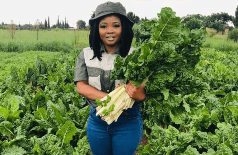 Uguqule amaphupho asebunganeni, wawenza ibhizinisi lokulima elichumayo