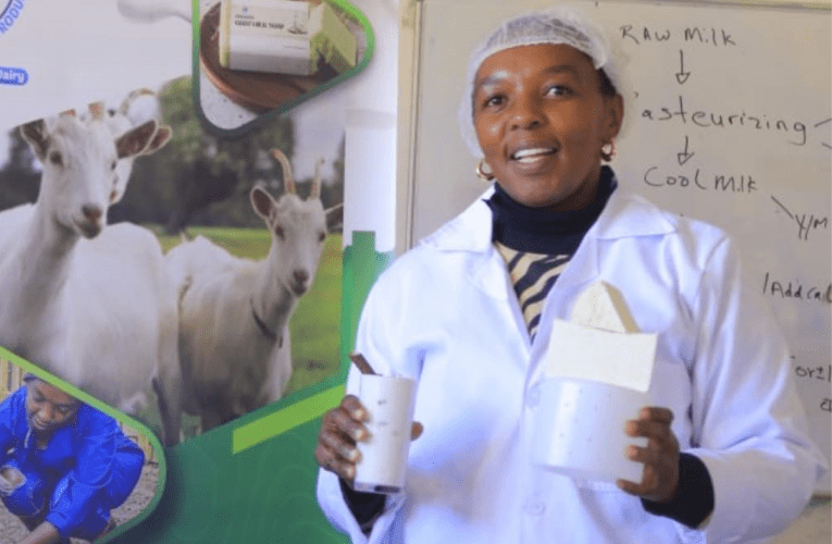 Intokazi yomSuthu yenza izinto zokugcoba ngobisi lwembuzi 