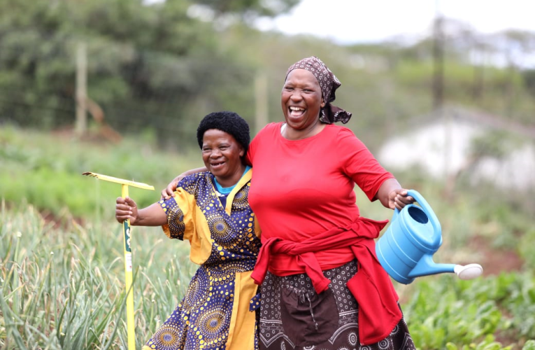 Umfelandawonye wabesifazane basemakhaya ukhuthazwe ngendlela yakudala yokulima