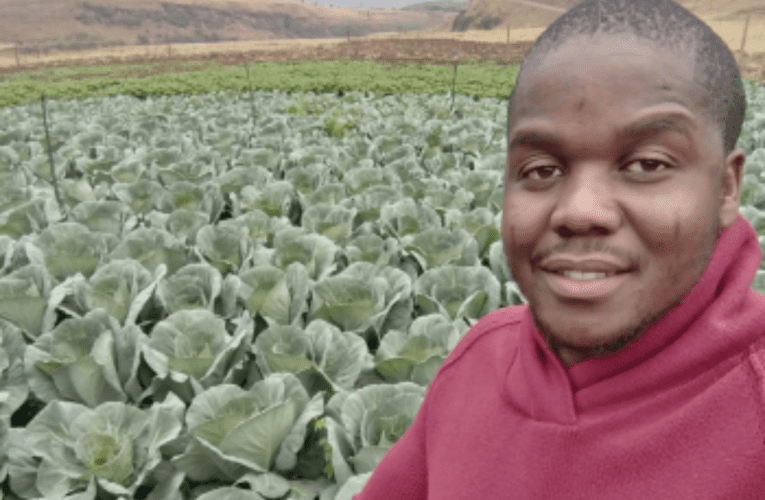 Umlimi osemusha uhlakulela impumelelo 