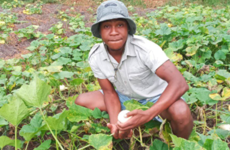 Umlimi omncane ulwa nokuguquguquka kwezulu