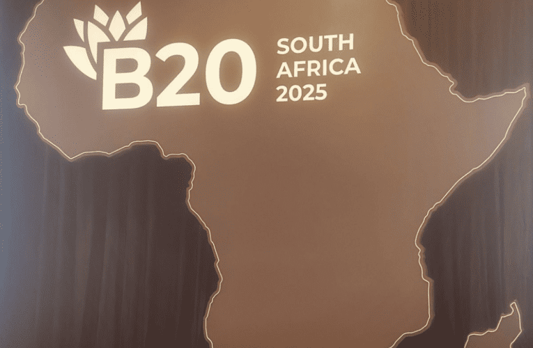 I-B20 yithuba lokuqhakambisa izinto ezibalulekile kwiNingizimu Afrika emhlabeni, kuloba uBusi Mavuso