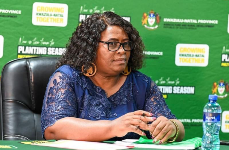Kunxuswa abantu ngokuthutha izinkomo kubheduka amatele