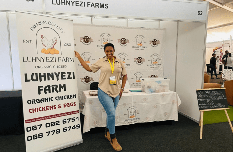 I-Lions Den Business Plan Competition izohlomisa abasafufusa