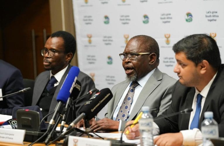 Zizovalwa izinhlelo ezingawenzeli lutho uhulumeni – uGodongwana 