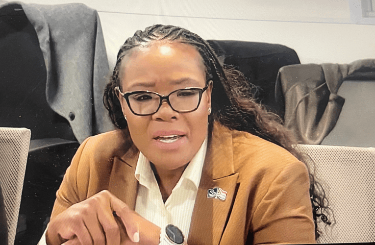 Umcwaningimabhuku uphakamisa ukuthi kungenelelwe komasipala, kuloba uBusi Mavuso