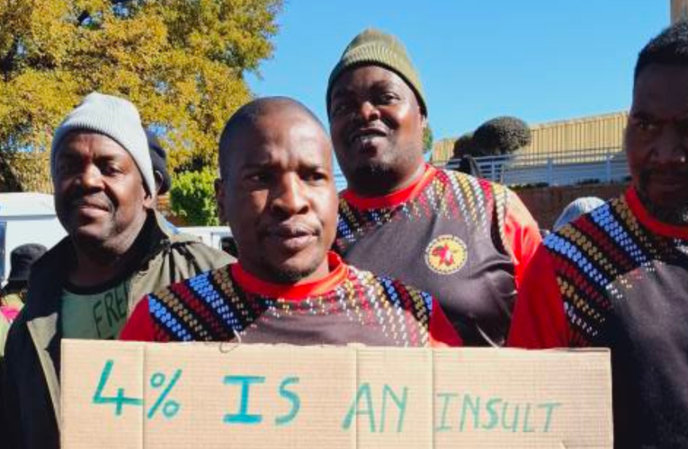 Izisebenzi zeDenel zifuna ukubongwa ngo-7%