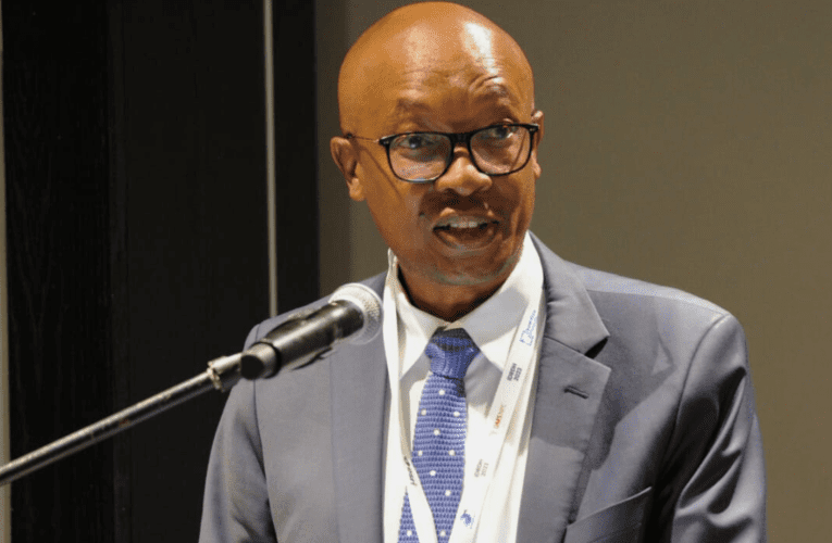 Inqubekelaphambili nge-grey list nobungozi bentela yaseMelika kusifundisa ukubhekana nezinselelo zomnotho, kuloba uBusi Mavuso