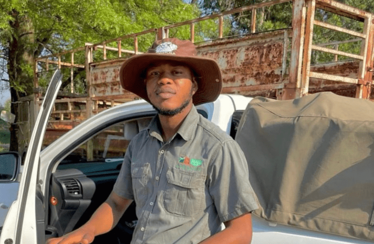 Ongene ekufuyeni izinkukhu zamaqanda enganakile uyaphumelela