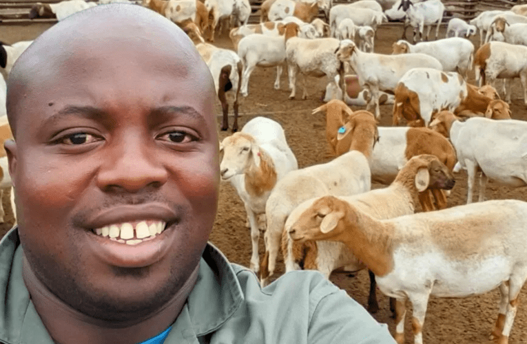 Umdayisi wefenisha usewumfuyi ovelele