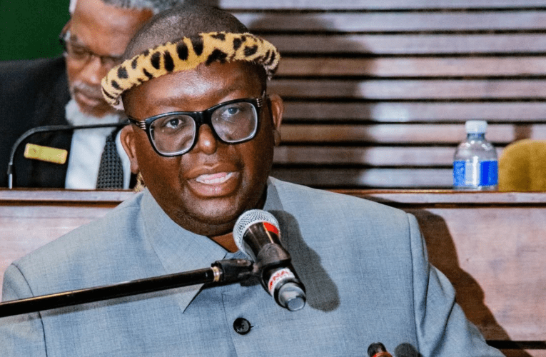 Ingqophamlando yama-medical aid yamakhosi aKwaZulu-Natali