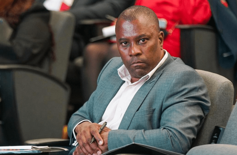 I-NEF igubha iminyaka ewu-11 yesikhwama esixhasa abesifazane