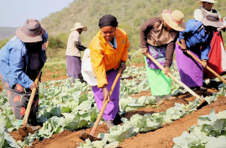 Izibalo ngemindeni elimayo ezweni zikhombisa ukwanda kwegebe phakathi kwezinhlanga, kuloba uJabulani Sikhakhane