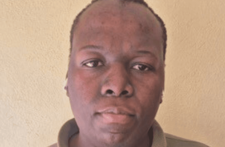 Imoto yokuqala yamnika umqondo ongandile webhizinisi lezokuthutha