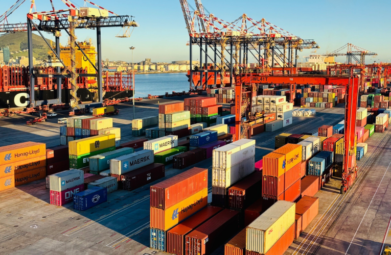 Sidinga izinto ezizosisiza ngisho singasabhekene nenselelo yentela ebanjwa ezimpahleni, kuloba uBusi Mavuso